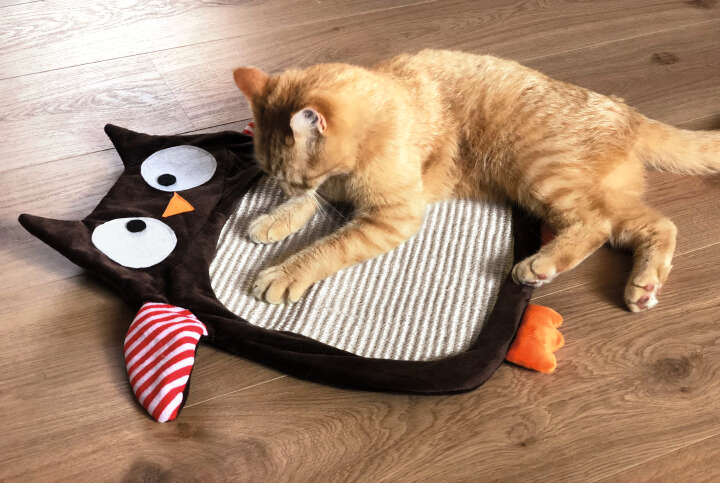 Sisal-Kratzbrett Eule